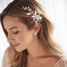 2024�¿�W�������Y�lϽ��ֹ������W荰l�A߅��^羳���l