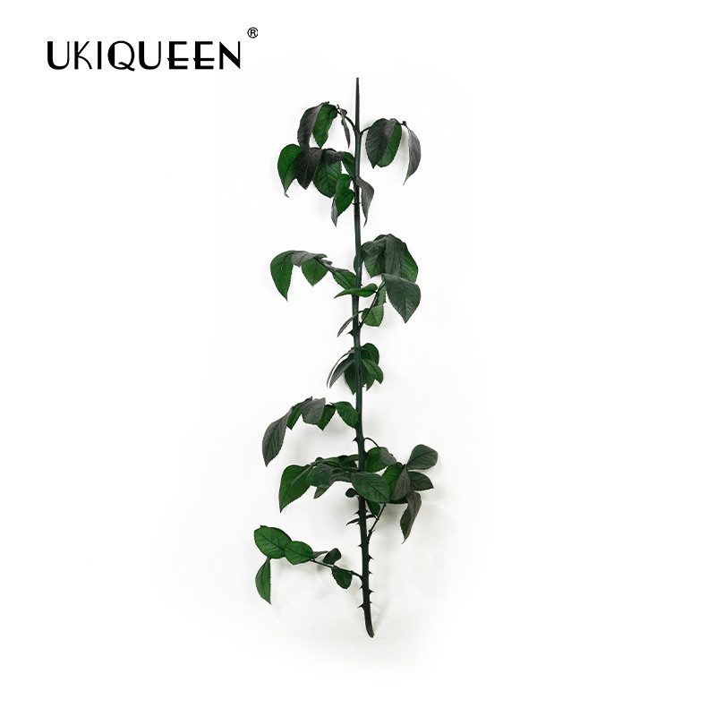 Fabricante mayorista de materiales de bricolaje para flores eternas, tallos y hojas de rosas eternas de Yunnan, adornos con cubierta de cristal del Principito.