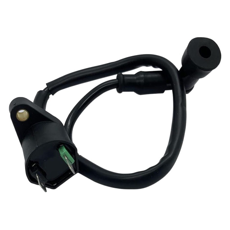Paquete de alto voltaje bobina de encendido Rancher350/Recon250/TRX250X/TRX300X/TRX300