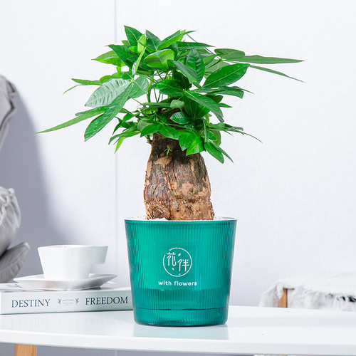 Meixuan Colored Planter Self-Watering Lazy Glass-Like Simple Durable Breathable Pothos Thick Resin Pot