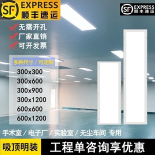 Lei Shiji 300X1200 Purification Lamp Led Clean Lamp 60X60 Hospital Operating Room Dust-Free Workshop Flat Ceiling