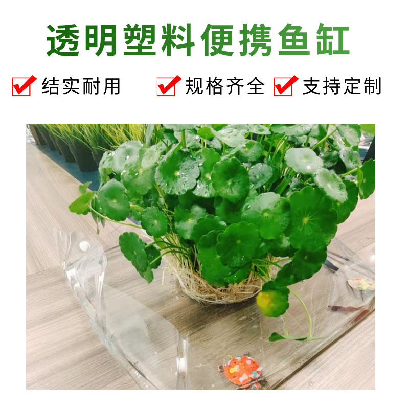 transparent plastic handheld small aquarium for office