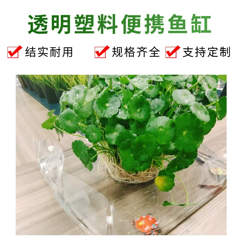 Новый оптовый прозрачный пластиковый портативный аквариум для домашнего офиса мини-эко-кормление горшка черепаха маленький аквариум
