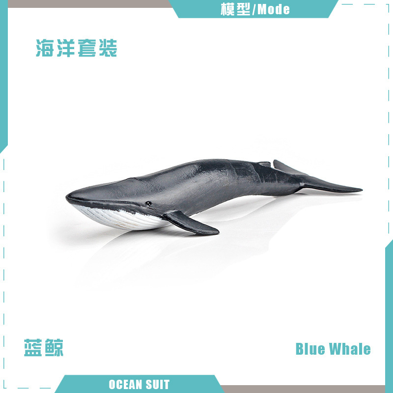 Ballena Azul BL-5051 12g