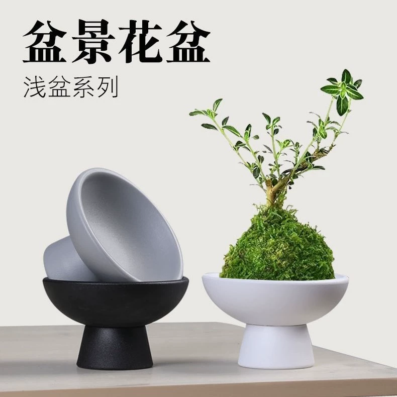 Лоток для моховых шариков цветочный горшок керамический горшок в китайском стиле матовый столешница украшения с гидропонным рисом аира с гидропонными сухофруктами