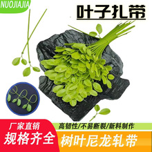 ���~�����Gɫ�����C܇�b������S���~�������辰������������