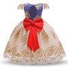 Children's dress, skirt, lace small princess costume, 2021 collection, suitable for import, suitable for teen, with embroidery