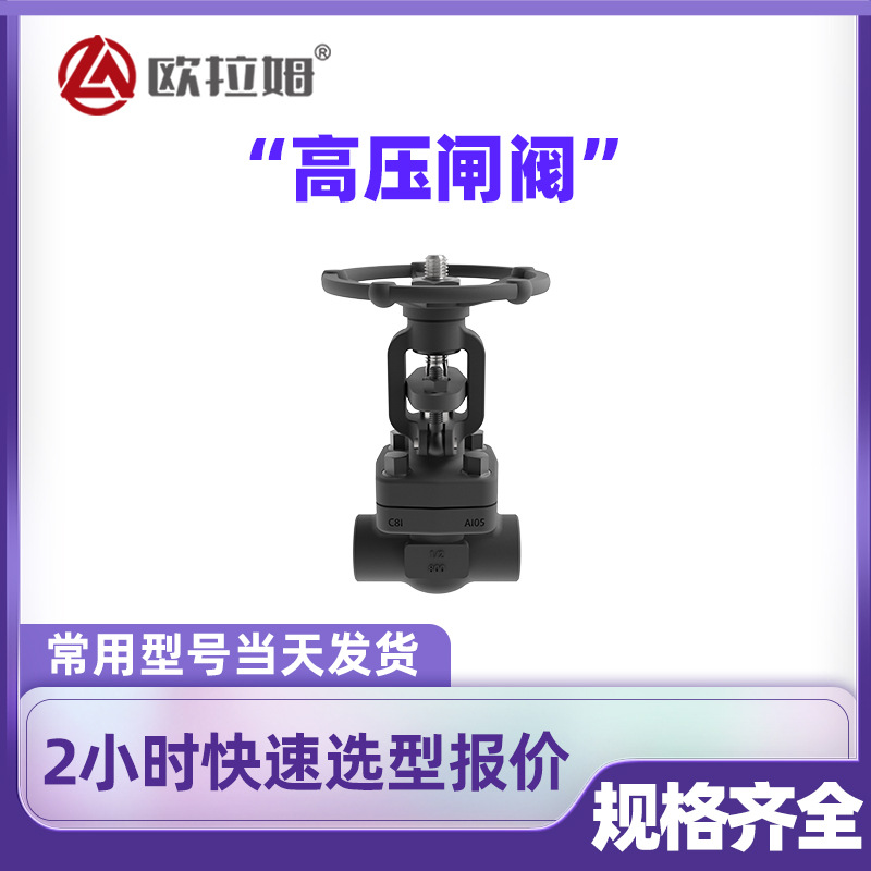 高压闸阀型号 Z61H 美标1/2寸 焊接连接 品类齐全 欧拉姆批发