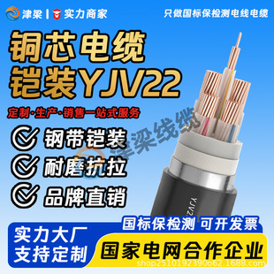 ����YJV�z�b���̽^����|��3/4/5о4/6/10ƽ��늾�����ܿ��Դ��