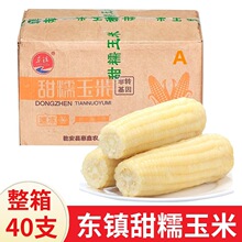 �|���Ŵ����40֧���� �|���ك�ճŴ�SŴ���װ� ���rA���������