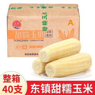 �|���Ŵ����40֧���� �|���ك�ճŴ�SŴ���װ� ���rA���������