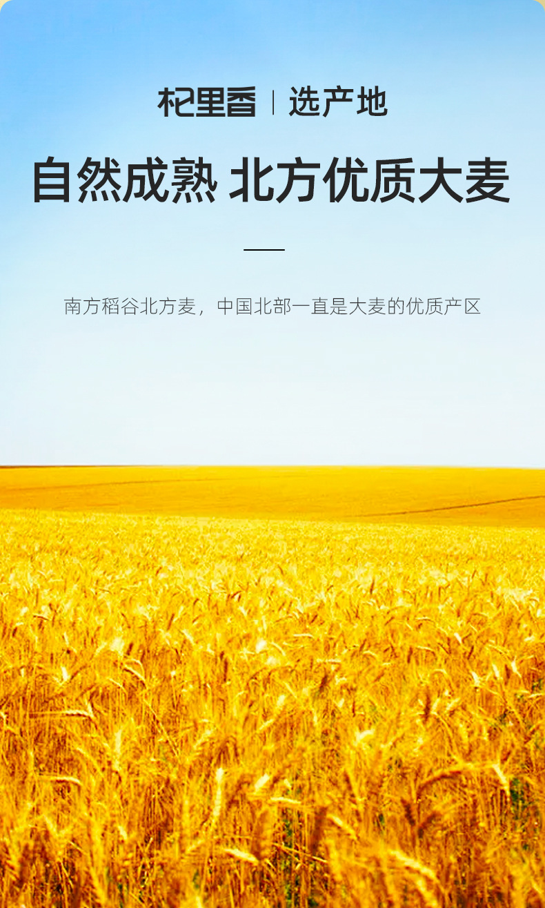 Roasted Barley Tea Qi Li Xiang Da Mai Cha Original Flavor 238g Can key features