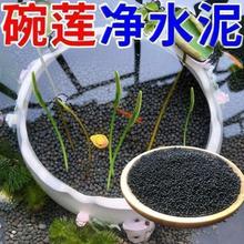 ��ɏˮ������ɏ�߷�������˯ɏˮ��ֲ���쾰�I�B��ˮ��ˮ�~��