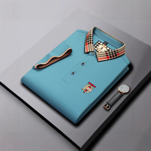 �羳���Q��ʿ����̽�POLO�����It��2025�ļ��¿����e�ٴ�������