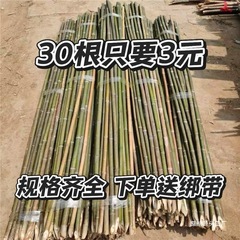 竹竿菜园搭架蔬菜黄瓜番茄豆角架杆竹篱笆栅栏小竹子细竹竿爬藤架