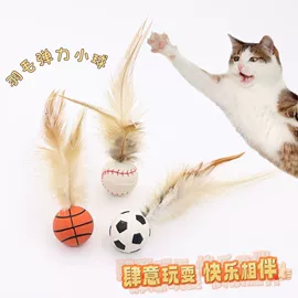 猫猫玩具;猫猫零食;宠物梳子