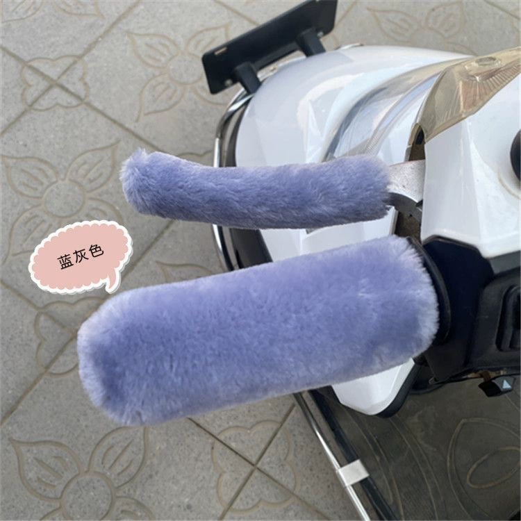 Зимний чехол для ручки для электромобиля