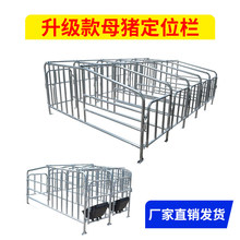 猪圈围栏母猪定位栏镀锌限位栏牛用复合定位栏漏粪板落地式限位栏
