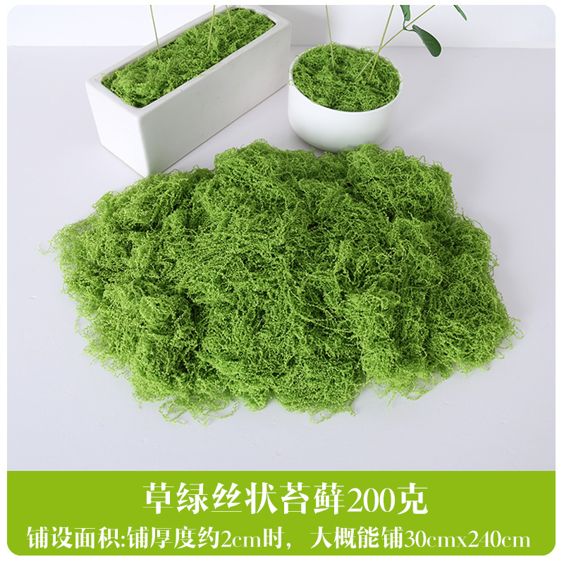 Musgo Fibroso Frutal Verde - 200g