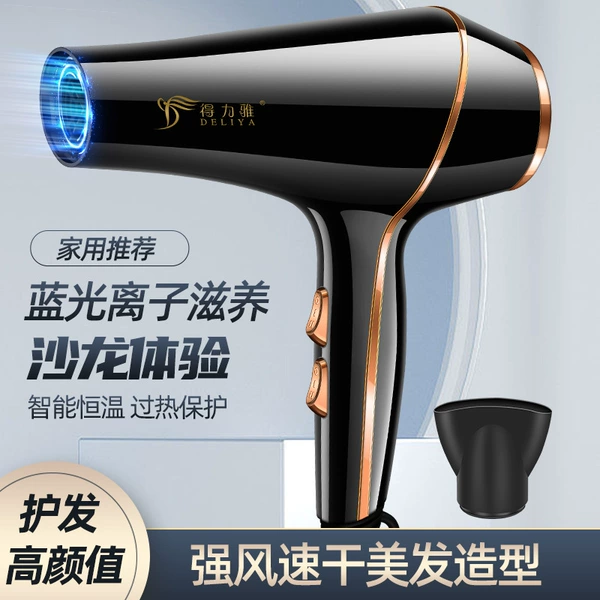 Deliya 2020 national standard black hair dryer