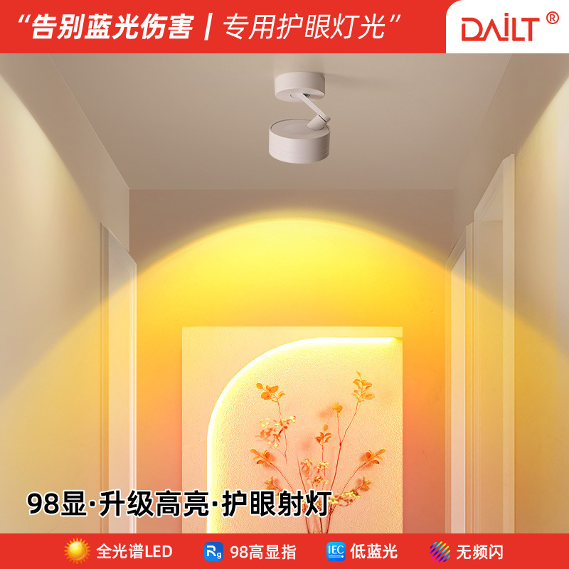 Trendy "Never-Setting Sun" Entrance Hall Light, Wall Washer Light, Surface-Mounted Spotlight, Creative Sunset Red Hallway Ambient Light