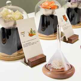SPA美容院香薰闻香器香薰展精油试香漏斗通草花扩香石摆件礼物