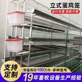 三层立式蛋鸡笼带粪盘三层四层自动清粪养鸡笼镀锌防锈养鸡设备