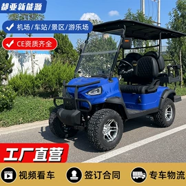 电动观光车;高尔夫球车;其他电动车
