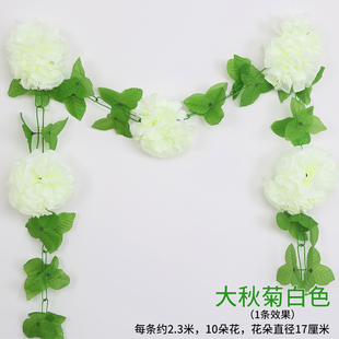 �ջ��l�ٻ��ٗlĹ�ؒ�Ĺ������컨�b�������������������