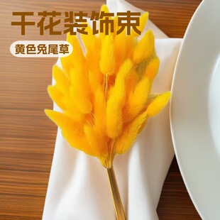 �羳������β�ݣ��Sɫ����ɫ����ɫ�ɫ���ӣ���ֲ��������