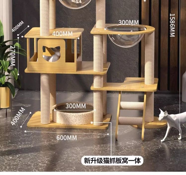 95ef1084-af10-4449-bf45-e74c29c755ac.jpe