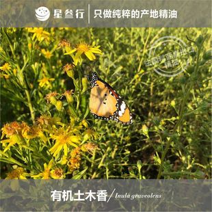 ��ľ�㾫�ͷ��������ήa����̵����ϵ�y���ͷ�����޹�η�����