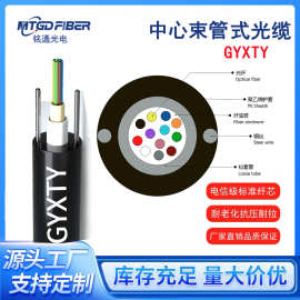 GYXTY光缆光纤线6芯12芯24芯国标室外单模多模中心束管铠装光缆