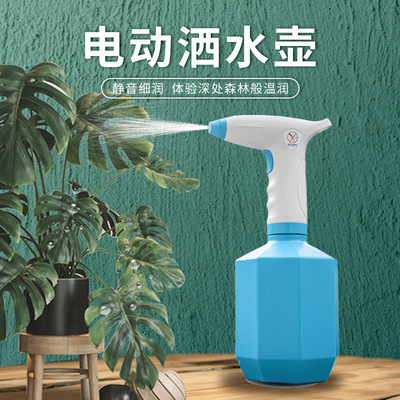 电动喷壶USB充电家用喷雾消毒园林浇花工具喷洒器跨境新品