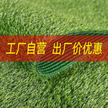 ���������ƺ��̺����ٲ�Ƥ�˹����ϾGɫ�bGֲ�����׃��@�|��