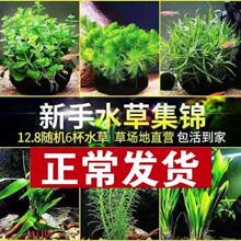 ˮ���ײ� ���B�ͻ���ˮ��ֲ��G�ջ����~�G�Ź��~��ˮ���쾰�~��
