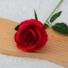 Rose red (big velvet)