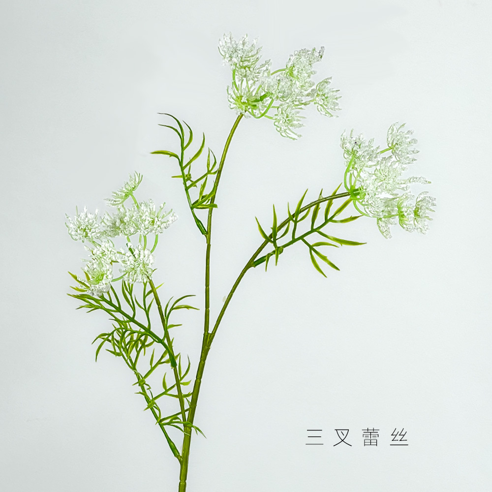 흰색 3갈래 레이스 꽃