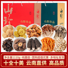 山珍菌菇礼盒春节年货云南特产羊肚菌汤包公司礼品批发干货大礼包