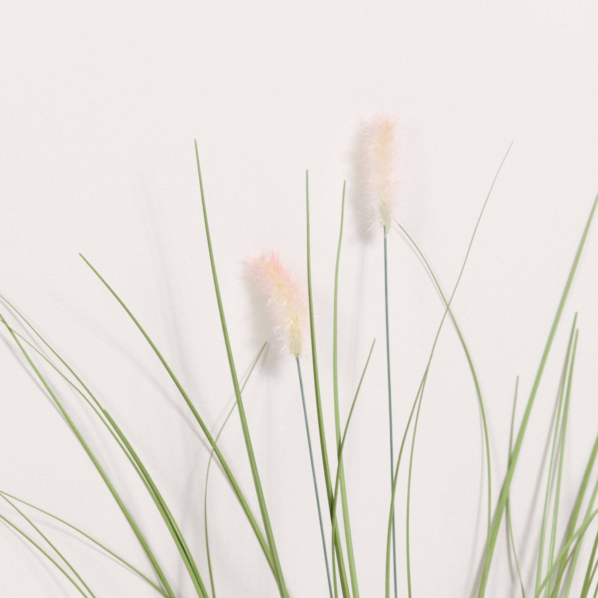 Cañas simuladas, viento, primavera, rosa, oruga puntiaguda, manojo, decoración del hogar, decoración, paisajismo de plantas simuladas