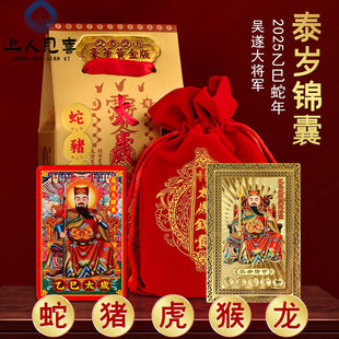 Year of the Snake Year 2025 Chinese Zodiac Mascot Year of the Snake