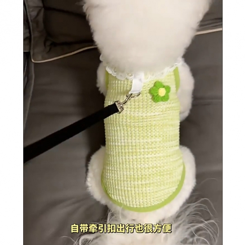 Ropa de perro de verano delgada con botón de tracción lindo chaleco sin mangas de encaje Teddy Bear Boomerang pequeño cachorro