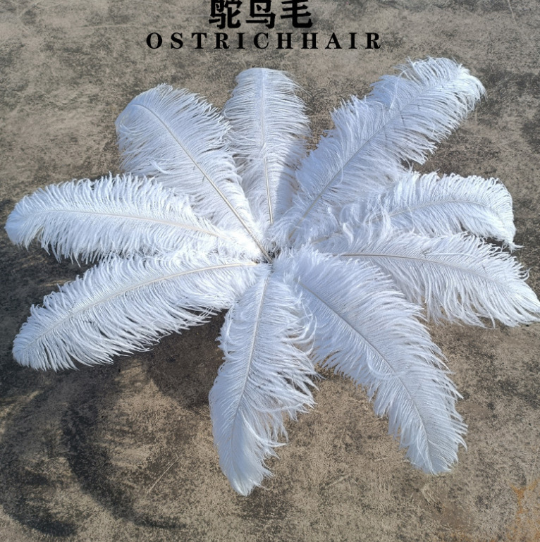 Factory in stock supply 15~80cm ostrich feather wedding stage performance lighting background wall cross-border feather wholesale