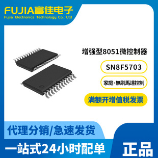 8051flashϵ��SN8F5703TG SN8F5703SG ������lܛӲ���_�l�����