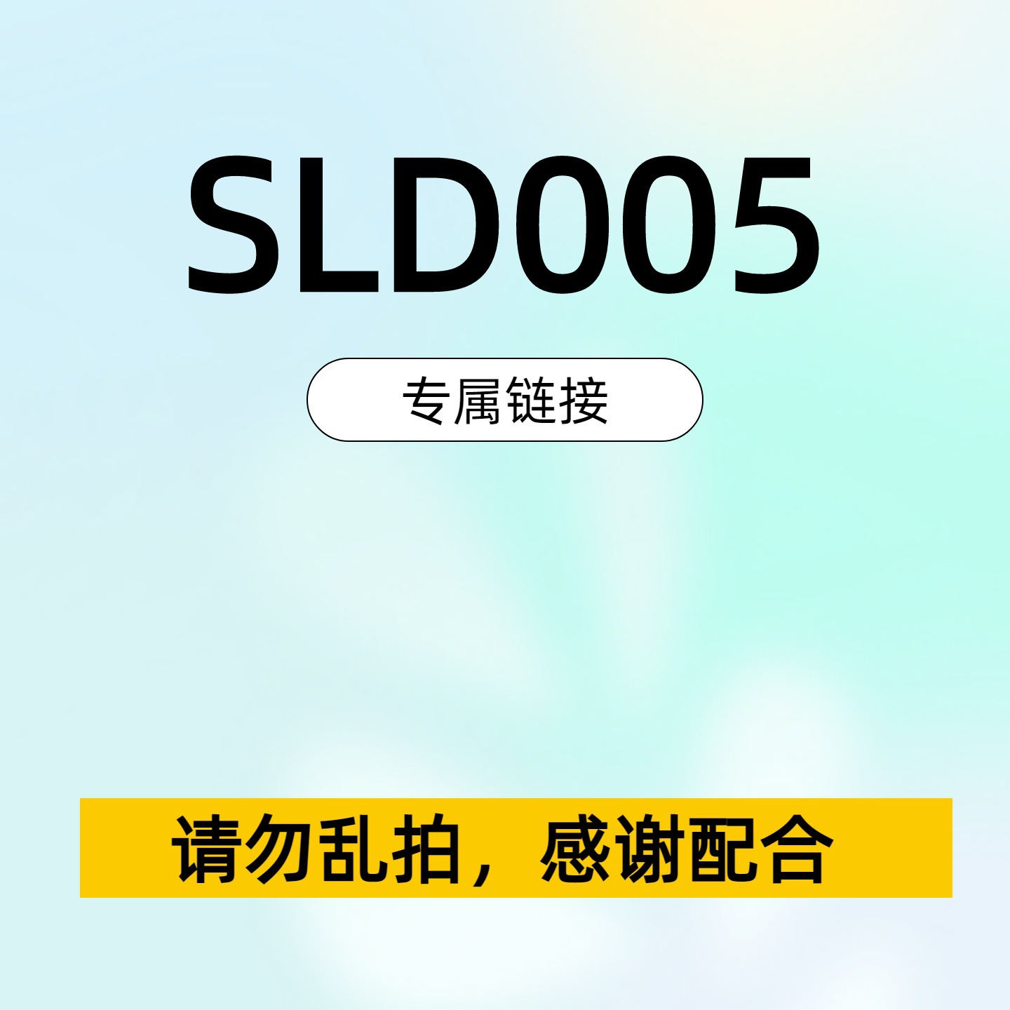 SLD专用私密链接【请勿下单】