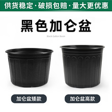 吹塑黑色加仑盆批发侧棱孔矮胖简易加仑花盆高款大口径软塑料花盆