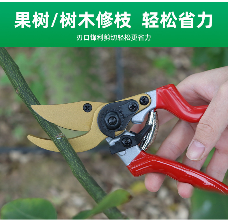 SXJ0051详情页-1688_04.jpg
