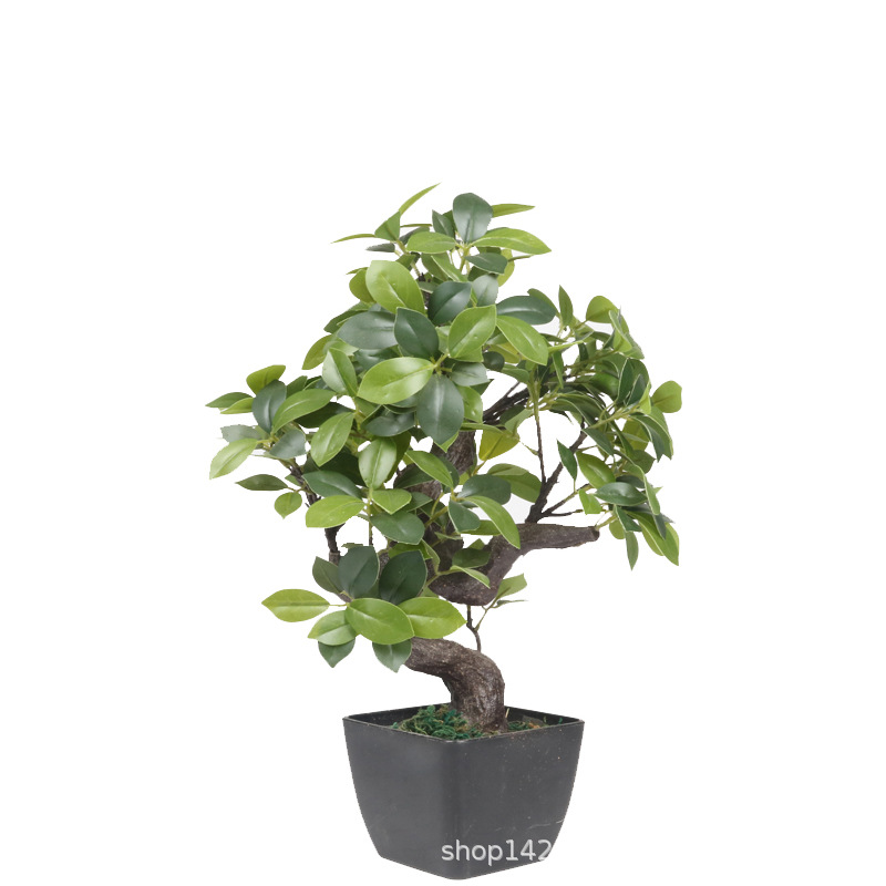 XRS-160 迷你榕叶8号盆栽207叶1.jpg