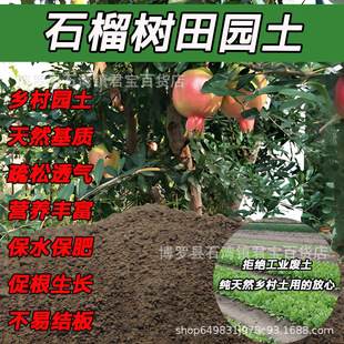 ʯ��伃����@�������S���N�仨����ͨ��ɳ���N�����ЙC���Nֲ��