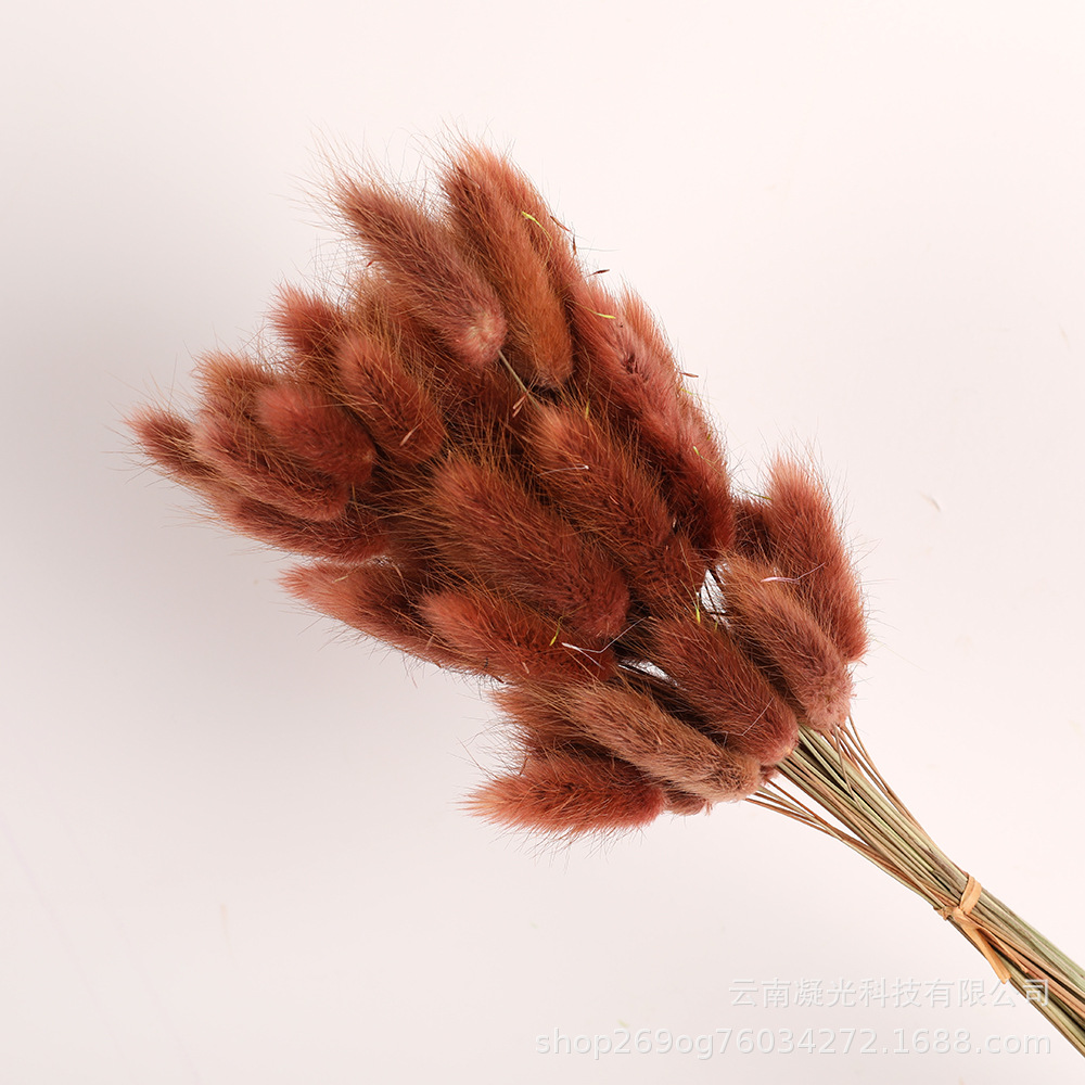 다크 다크 브라운